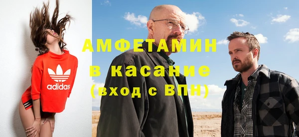 шишки Горно-Алтайск