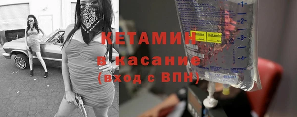 шишки Горно-Алтайск