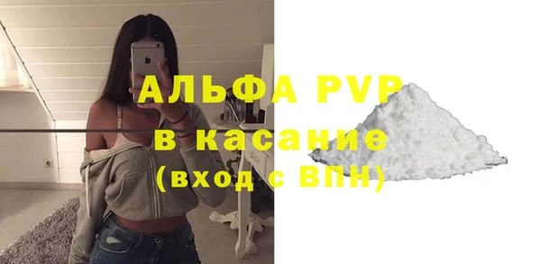 шишки Горно-Алтайск