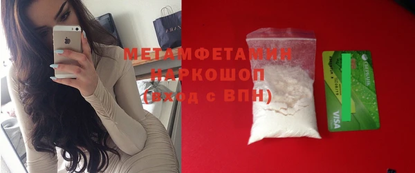 шишки Горно-Алтайск