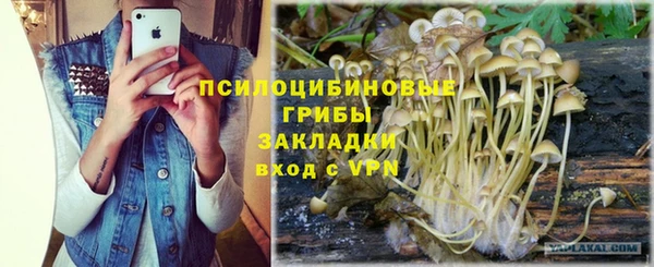 твердый Горнозаводск