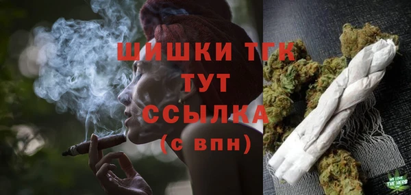 крисы Вязьма