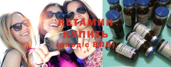 шишки Горно-Алтайск